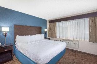 Superior King Studio Suite - Non-Smoking,1282655170:JPEG